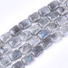 Natural Labradorite Beads Strands X-G-T121-13-2