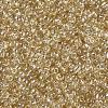 8/0 Glass Seed Beads SEED-A006-3mm-102-2