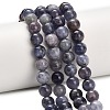 Natural Iolite Beads Strands G-G300-A04-8mm-1