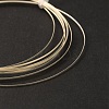Sterling Silver Wire STER-WH0009-02A-2