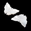 Natural White Shell Carved Cabochons SSHEL-I026-30-2