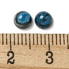 Dyed Natural Blue Agate Cabochons G-Q173-01B-20-3