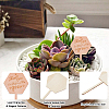 30Pcs Wooden Plant Labels DIY-GF0014-19B-5