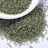 MIYUKI Delica Beads SEED-J020-DB2163-1