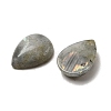 Natural Labradorite Pendants G-F760-01B-06-02-2