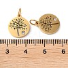 316 Surgical Stainless Steel Micro Pave Clear Cubic Zirconia Charms RB-I078-75G-3