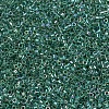MIYUKI Delica Beads X-SEED-J020-DB0060-3
