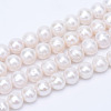 Natural Cultured Freshwater Pearl Beads Strands PEAR-R063-17-1