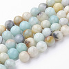 Natural Flower Amazonite Bead Strands G-G735-61-8mm-1