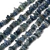 Natural Kyanite/Cyanite/Disthene Chip Beads Strands X-G-E271-78-2