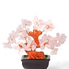 Natural Rose QuartzChips Money Tree Bonsai Display Decorations DJEW-B007-08F-2