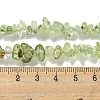 Natural Prehnite Beads Strands G-P332-41A-4