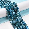 Natural Apatite Beads Strands X-G-S333-8mm-031A-2