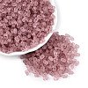 FGB Frosted Transparent Glass Seed Beads SEED-N013-06A-06-1