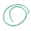 Natural Freshwater Shell Beads Strands SHEL-P017-01B-08-2