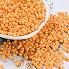 Glass Seed Beads SEED-L011-04A-06-1