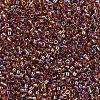 MIYUKI Delica Beads X-SEED-J020-DB0170-3