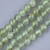 Natural Prehnite Beads Strands LS-G-S333-6mm-032-1