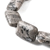 Natural Map Stone Beads Strands G-S386-A13-4