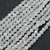 Natural White Moonstone Beads Strands G-E411-07-3mm-1