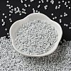 Baking Paint Glass Seed Beads X-SEED-S042-15A-01-3
