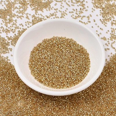 MIYUKI Delica Beads SEED-X0054-DB2521-1