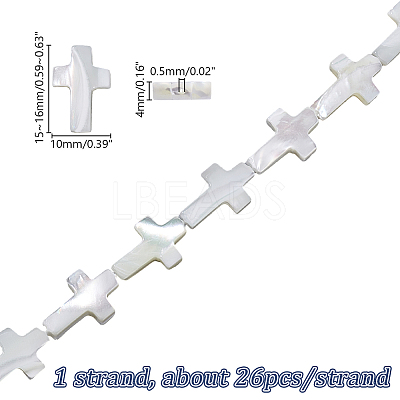 1 Strand Natural Trochid Shell/Trochus Shell Beads Strands SSHEL-GA0001-17-1