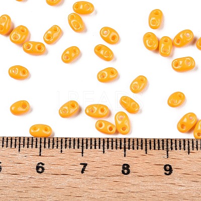 Baking Paint Glass Seed Beads SEED-T006-03N-1