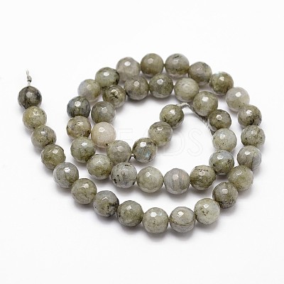 Natural Labradorite Beads Strands G-G736-04-8mm-1