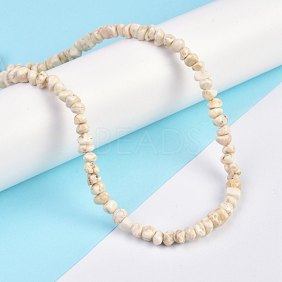 Natural Magnesite Beads Strands X-TURQ-P001-02A-11-1