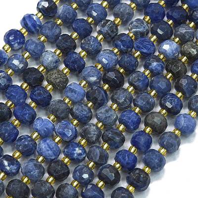 Natural Sodalite Beads Strands G-K389-E74-01B-1