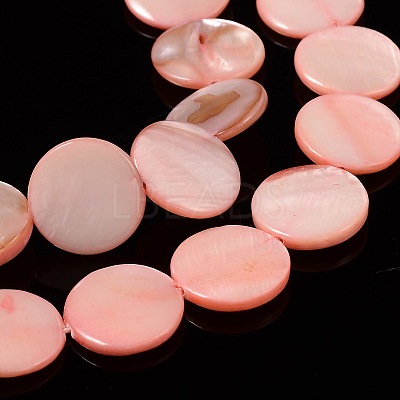 Natural Shell Beads Strands PBB251Y-6-1