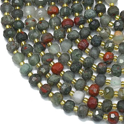 Natural African Bloodstone Beads Strands G-K389-E80-01-1