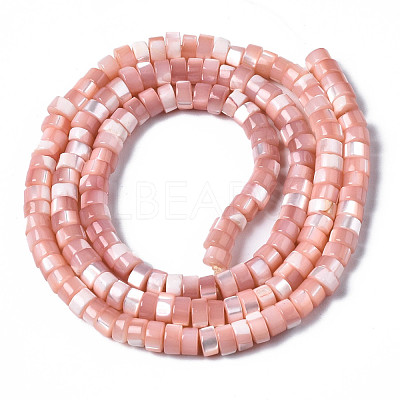 Natural Trochus Shell Beads Strands SHEL-S278-027H-1