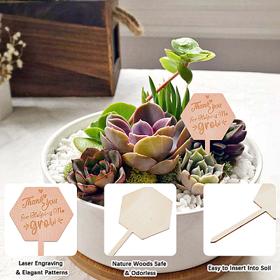 30Pcs Wooden Plant Labels DIY-GF0014-19B-1