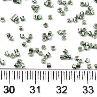 FGB 11/0 Grade A Baking Paint Glass Seed Beads SEED-S030-1208-1