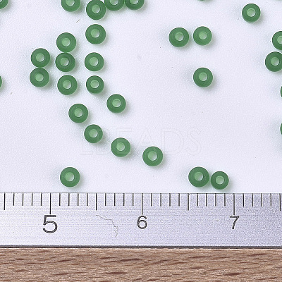 MIYUKI Round Rocailles Beads X-SEED-G007-RR0146F-1