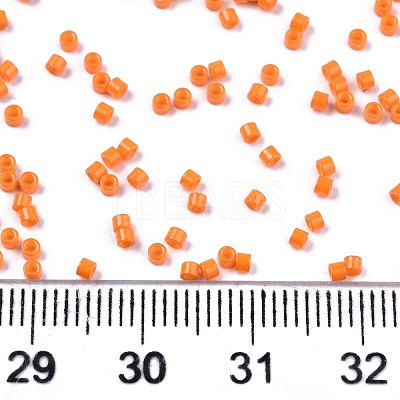 FGB 11/0 Grade A Glass Seed Beads X-SEED-S030-1019-1