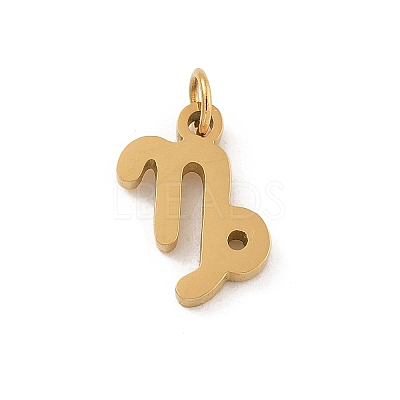 304 Stainless Steel Charms STAS-R001-04G-10-1