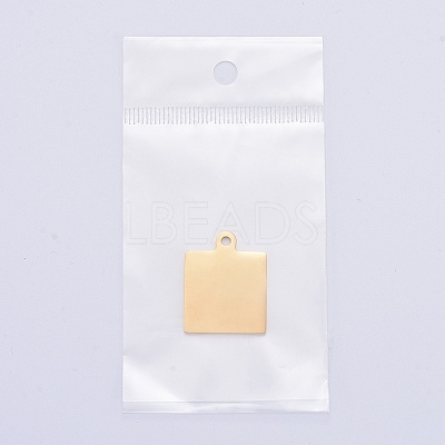 304 Stainless Steel Pendants LS-STAS-I140-23B-G-1