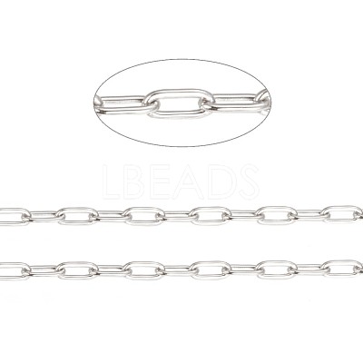 Tarnish Resistant 304 Stainless Steel Paperclip Chains CHS-F010-01A-P-1