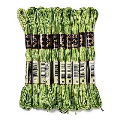 10 Skeins 6-Ply Polyester Embroidery Floss OCOR-K006-A02-1