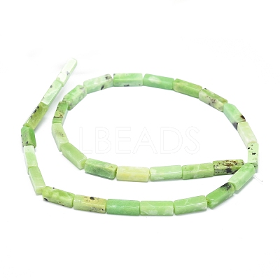 Natural Serpentine Beads Strands G-G974-05-1