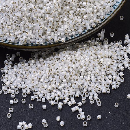 MIYUKI Delica Beads X-SEED-J020-DB0221-1