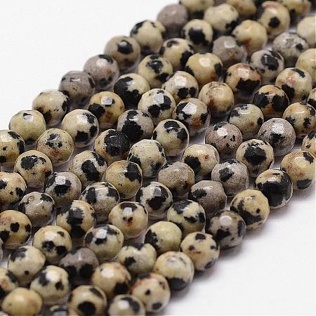 Natural Dalmatian Jasper Beads Strands G-D840-49-4mm-1