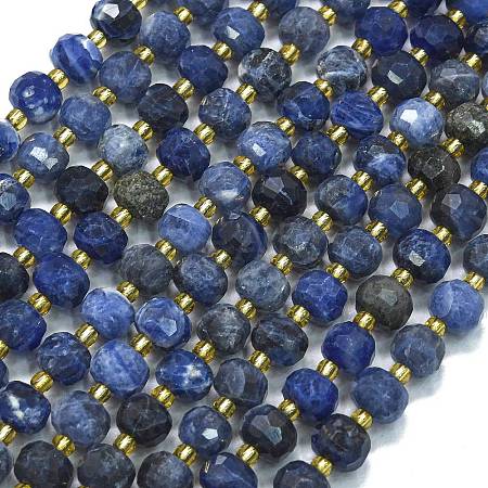 Natural Sodalite Beads Strands G-K389-E74-01B-1