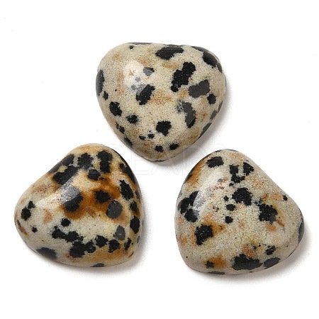 Natural Dalmatian Jasper Cabochons G-F776-02A-22-1