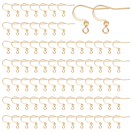 100Pcs 316 Surgical Stainless Steel Earring Hooks STAS-UN0058-62-1
