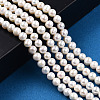 Natural Cultured Freshwater Pearl Beads Strands PEAR-N013-05E-2