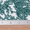 MIYUKI Delica Beads SEED-X0054-DB1769-4